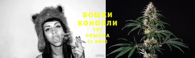 Шишки марихуана Ganja  Грязовец 